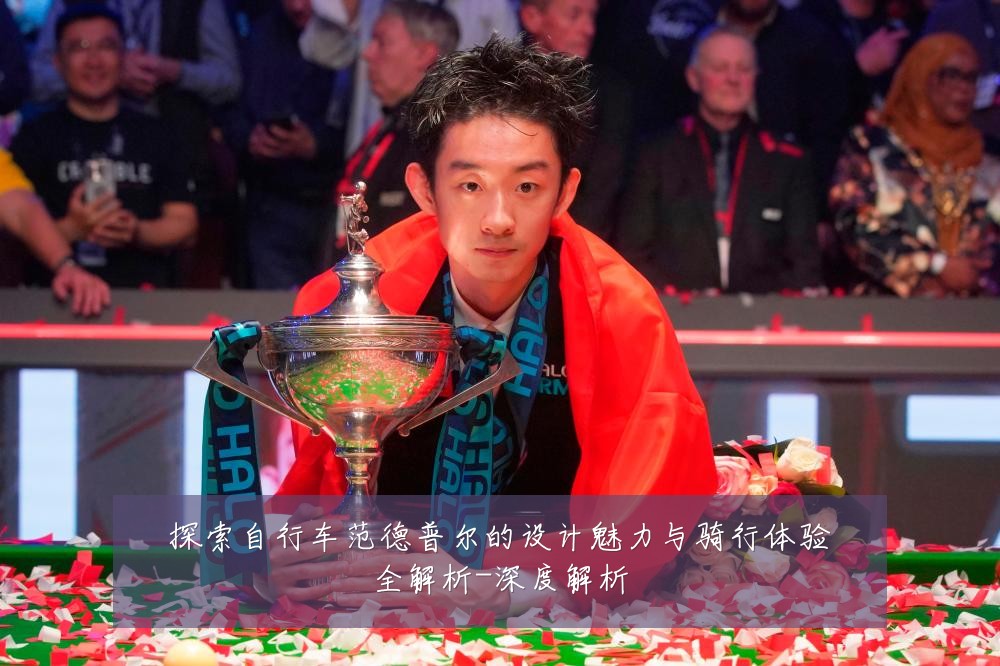 探索自行车范德普尔的设计魅力与骑行体验全解析-深度解析